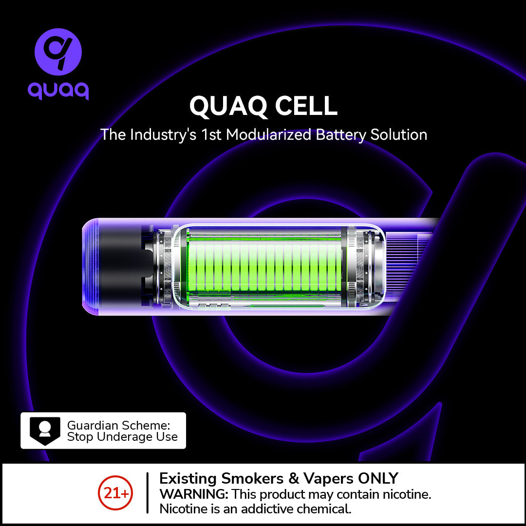 Elf Bar 600V2 Disposable Vapes 10 pack